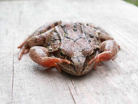 Испугалась!