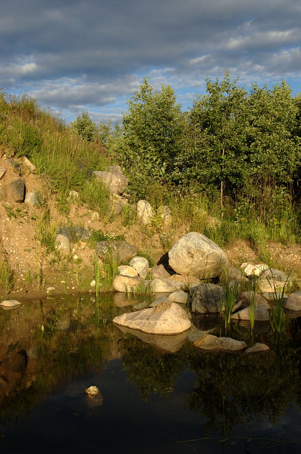 сад камней 2