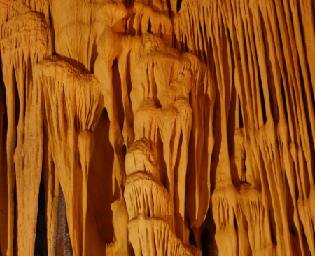 Природы творение...