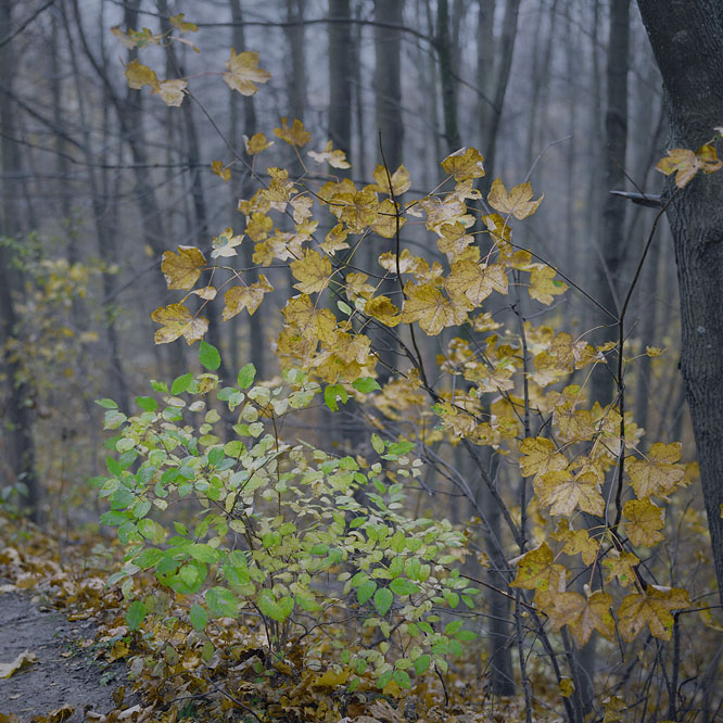 in a dark day #4