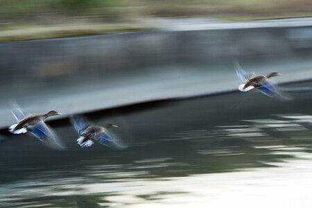 5 секунд, полет нормальный...