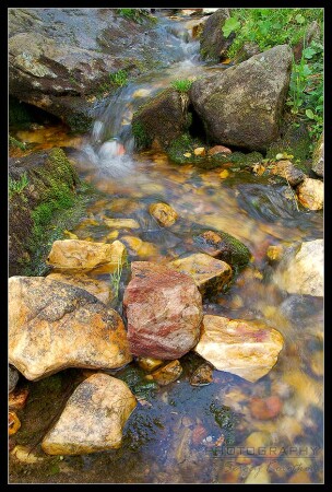 Water