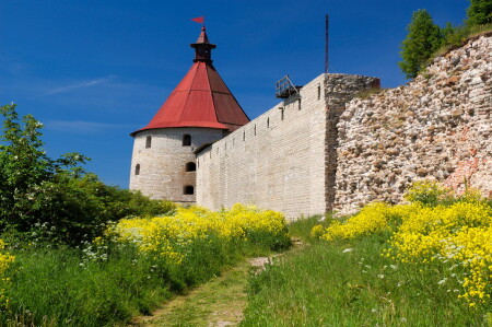 Крепкий "орешек"-2