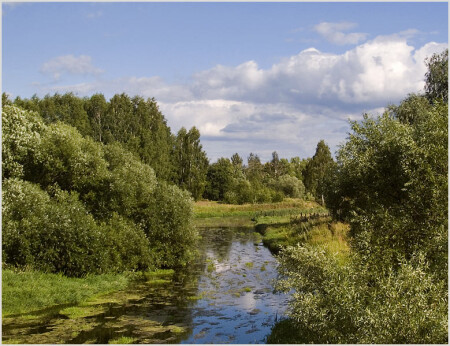 Тихое течение