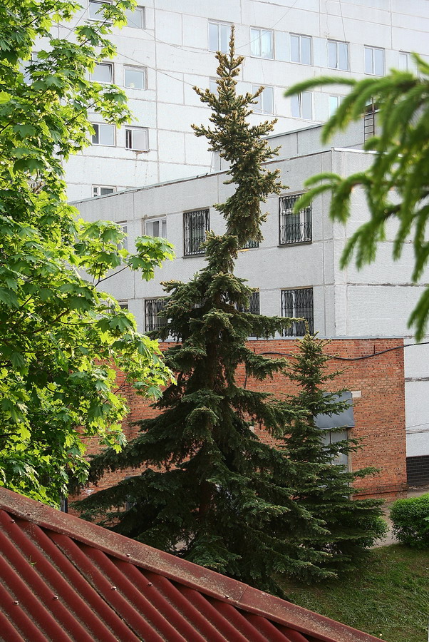 Линия жизни.