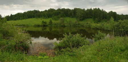 В тихом пруду