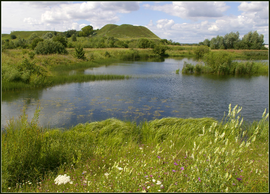 Шведская гора