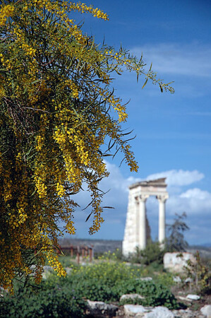 Santuary of Appolonis Ylatis