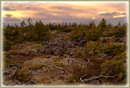 Лукоморье