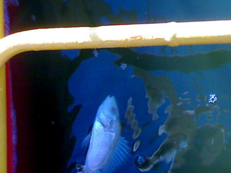 Последний путь