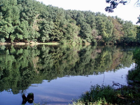 В озерном зеркале