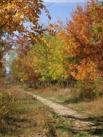 краски