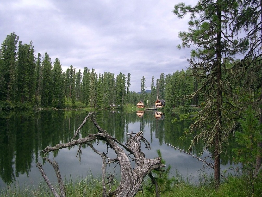 Кордон