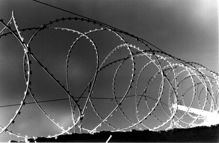 Проволка колючая в три ряда )