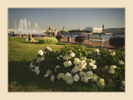 Петербург.Лето.Теплый вечер