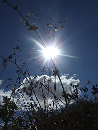 В пять часов ты его не буди