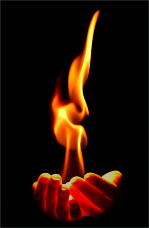 Из клана огня