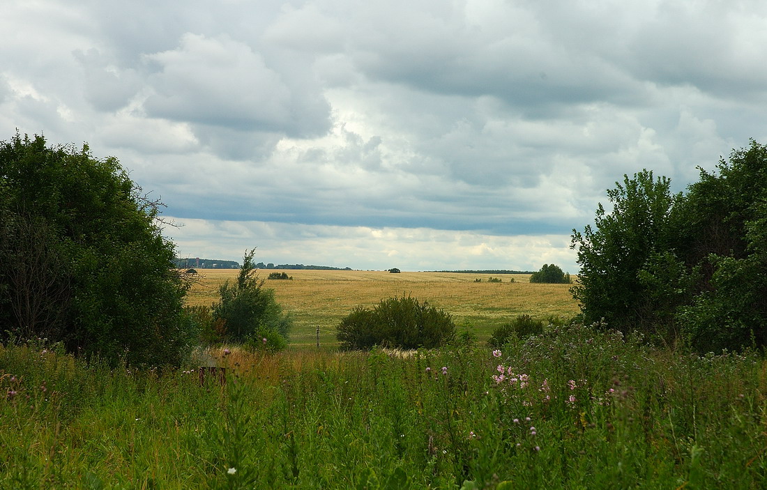 Подмосковье 2