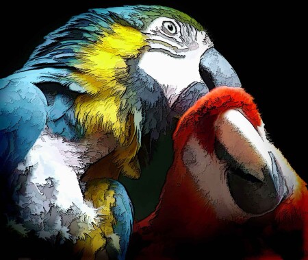 Наверное любовь