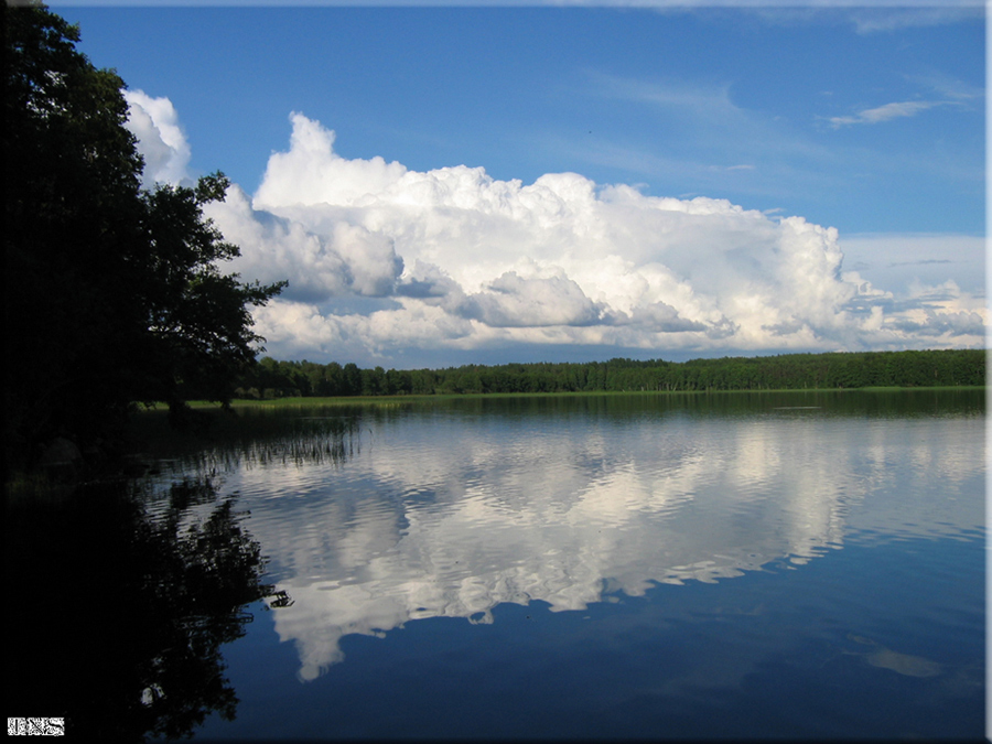 в зеркале воды...
