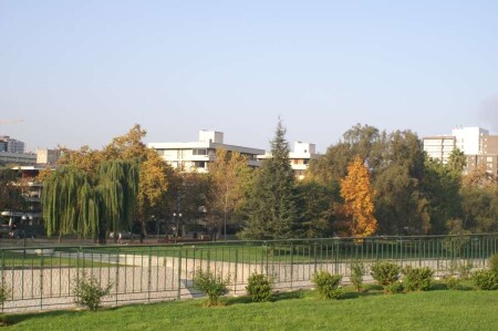 Поздняя осень в Сантьяго