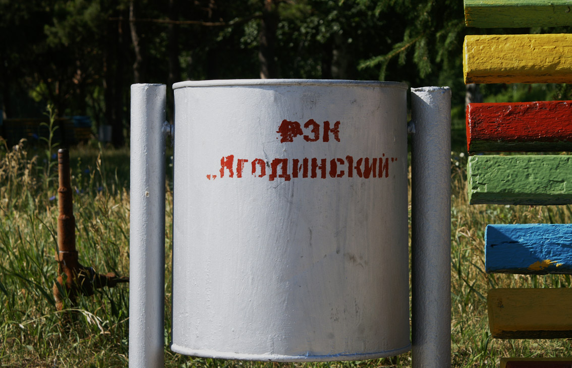 ЯгодИнский лес