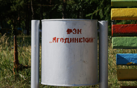 ЯгодИнский лес