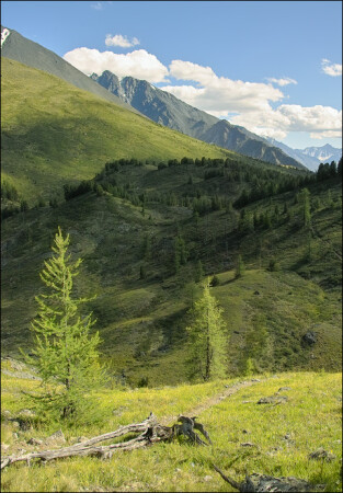 Алтайские тропы
