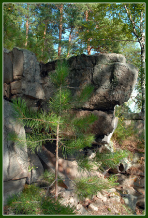 Каменный клюв. ОдЫн малЭнкий, но очЭн гордый птЫчка ... остался только клюв.