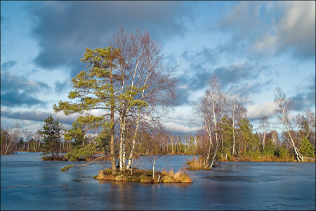 Зимняя солнечная болотная картинка с островками во льду без снега