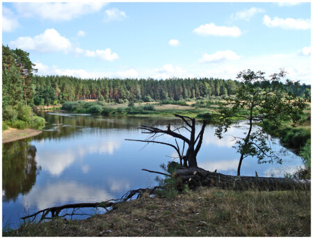 р.Волчина