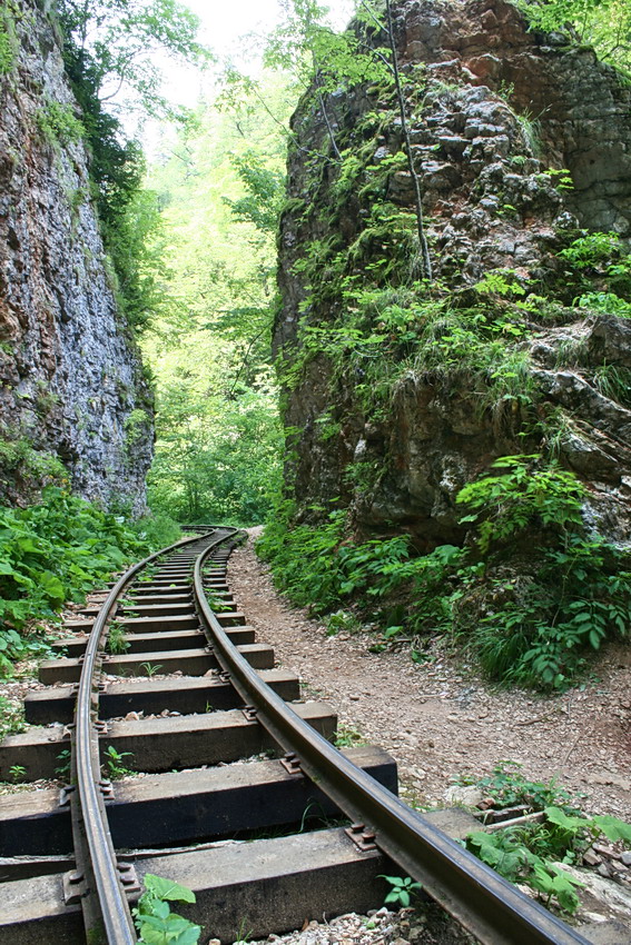 Гуамка