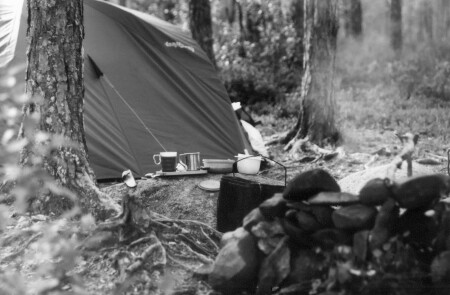 Духом едины