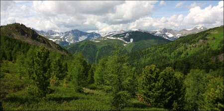 Алтайские горы...