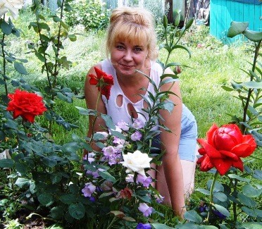 мои любимые цветы