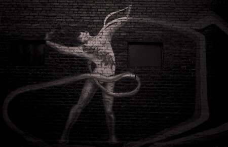 Гимнасты 2014