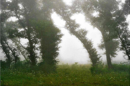 &amp;quot;серебряная паутинка&amp;quot;