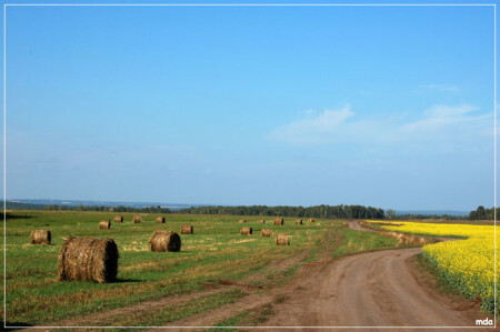 предгорье Салаира
