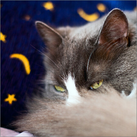 я смотрю за вами