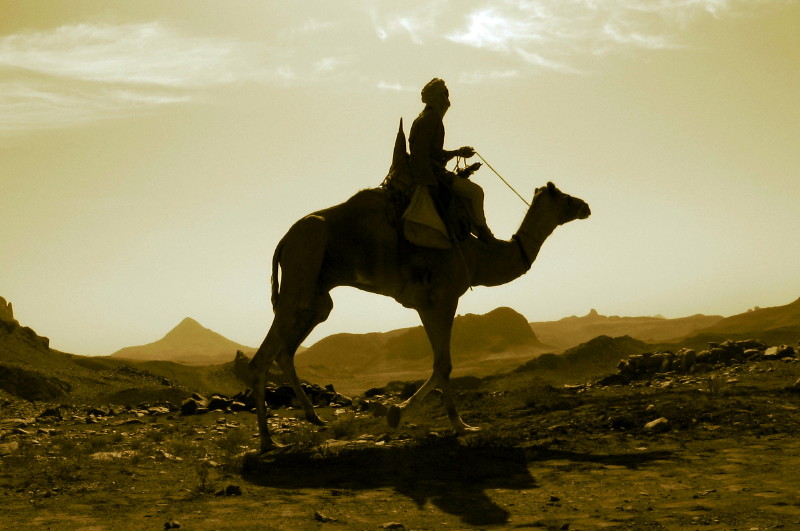 Nomade eternel