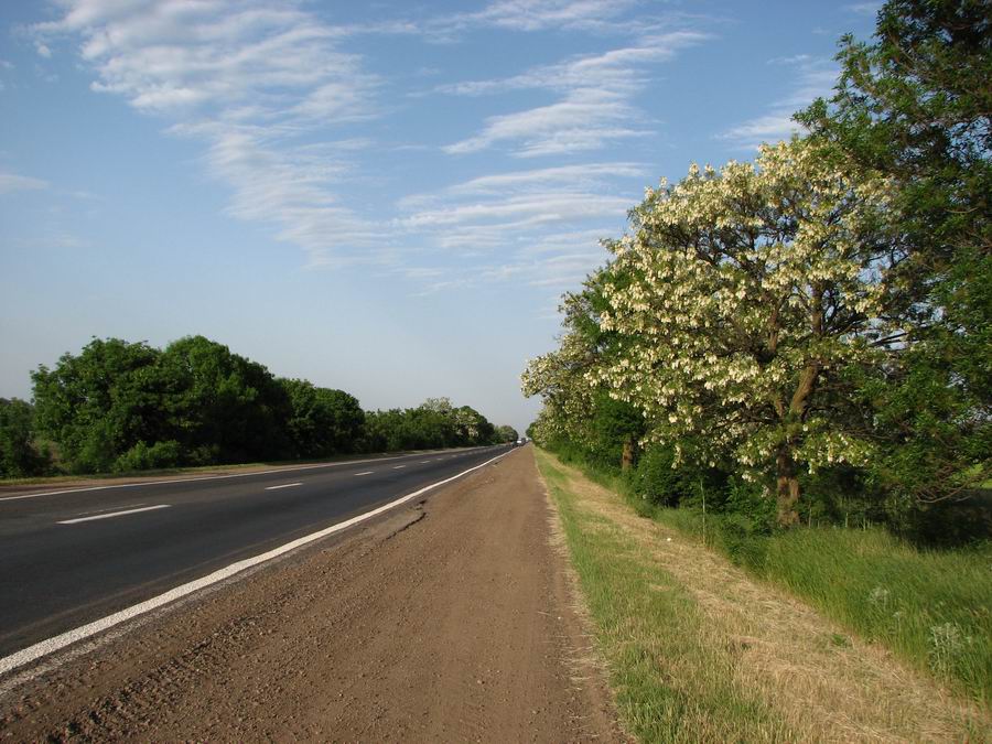 Дорога