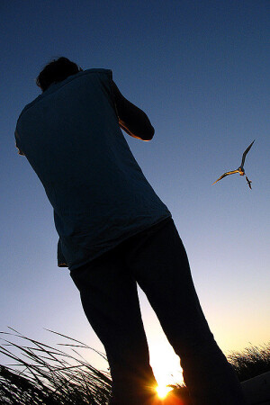 Wildlifephotographing