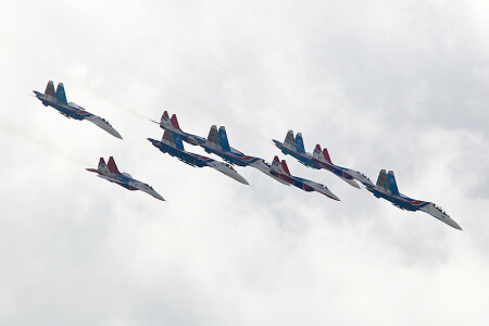 Стрижи и Витязи