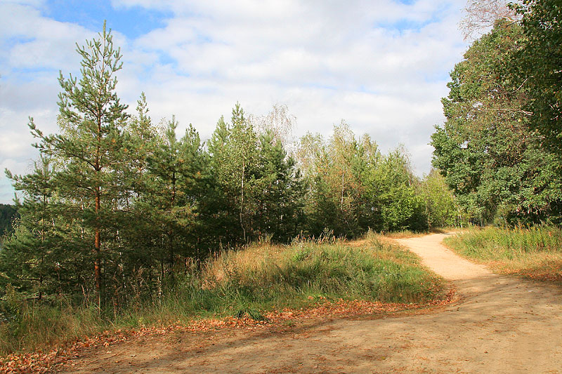 Осенний лес
