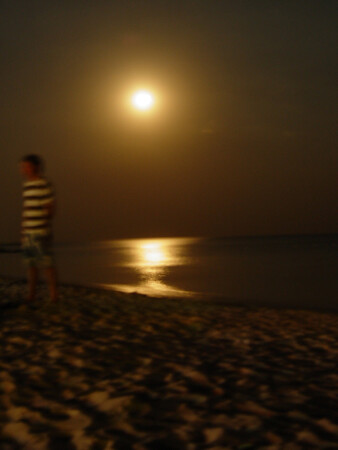 вечерний силуєт 2