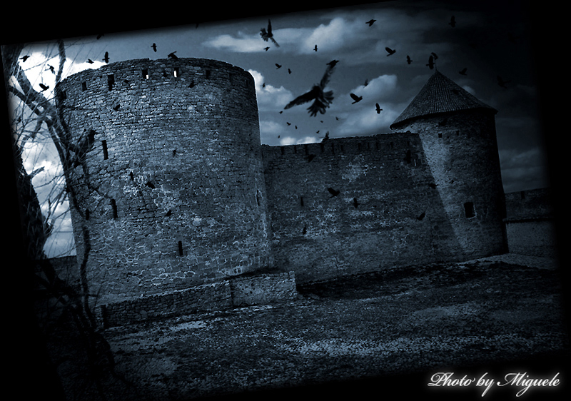 Dark castle