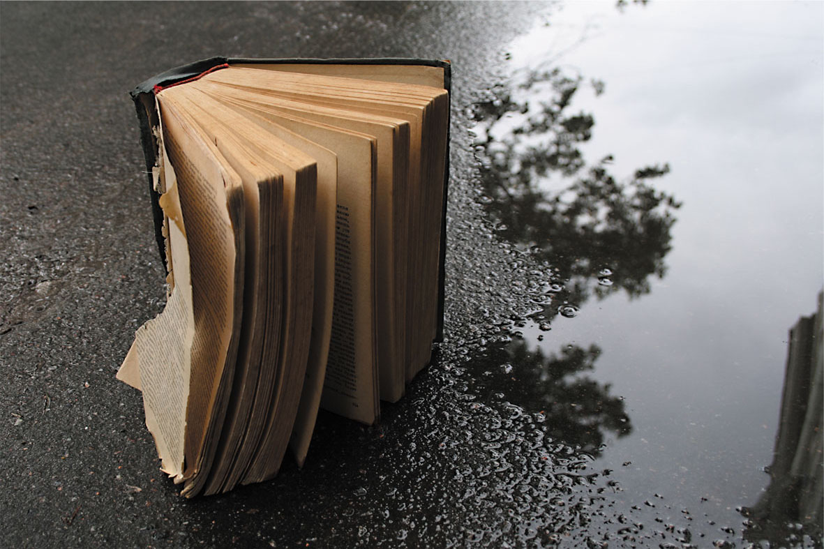 Про то, как книжка гуляла по лужкам