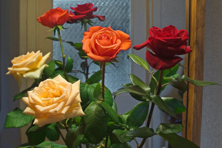 Розы в зеркале