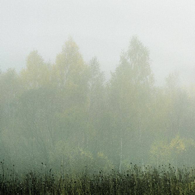 pastel morning