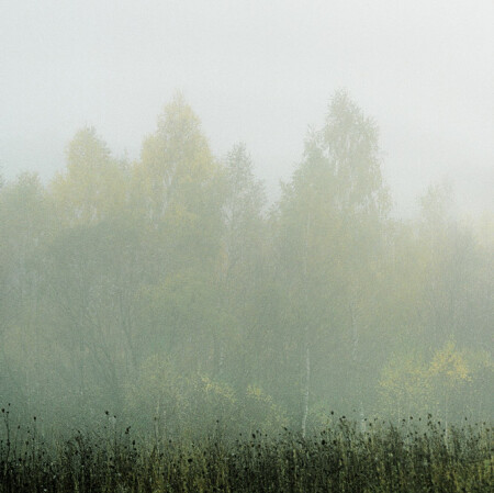 pastel morning